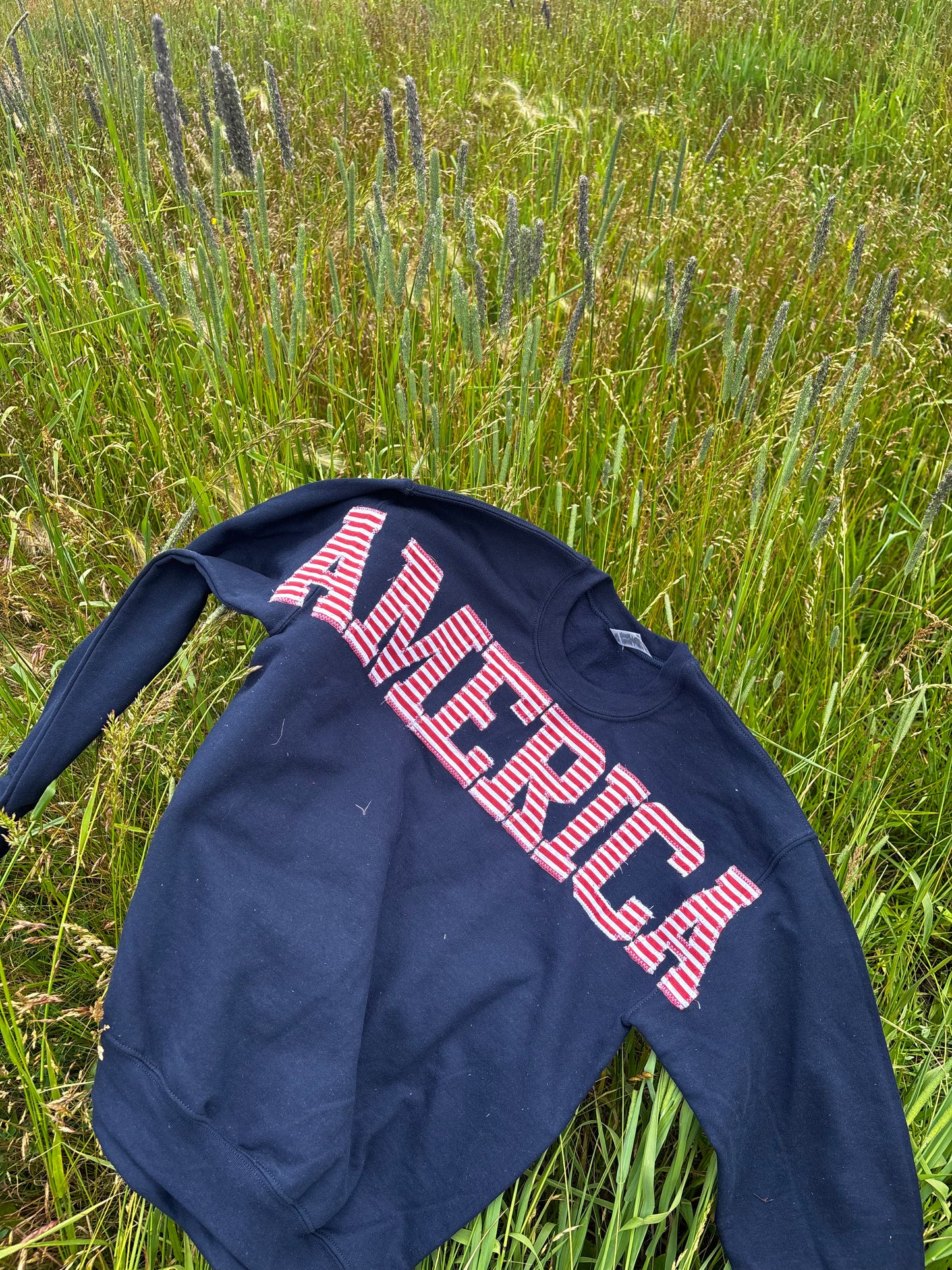 AMERICA Crewneck