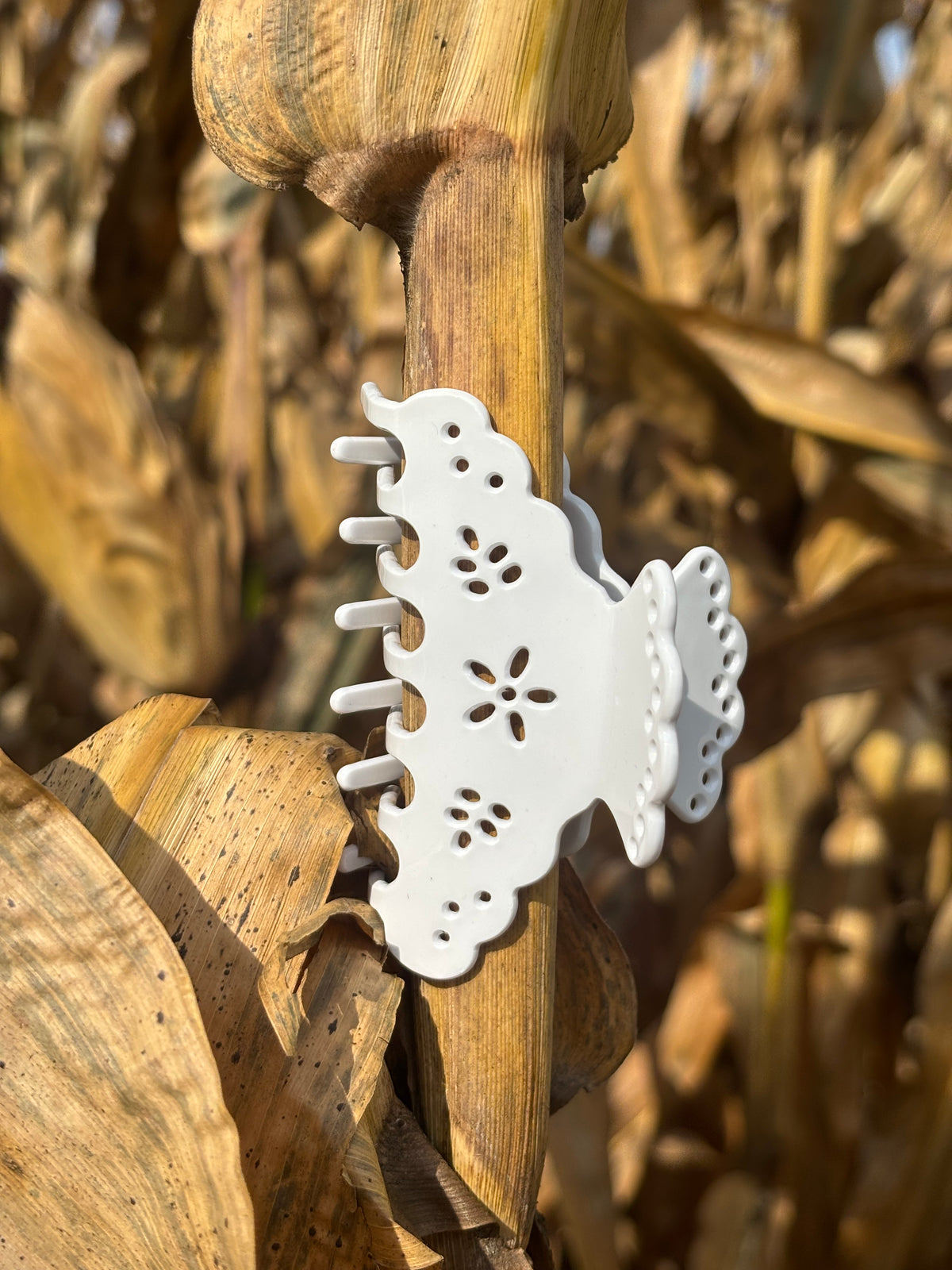Doily Clip