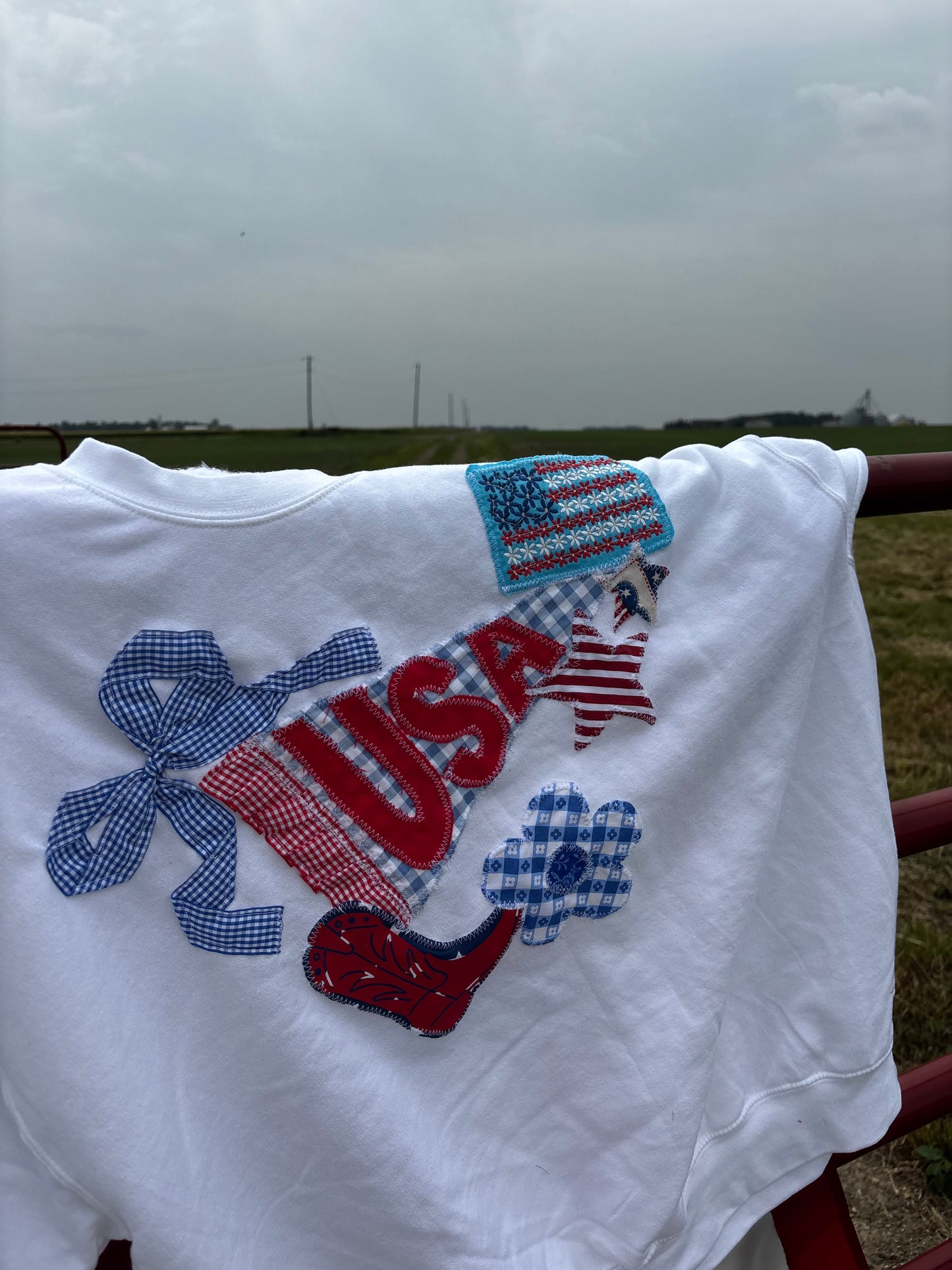 USA Pennant Crewneck