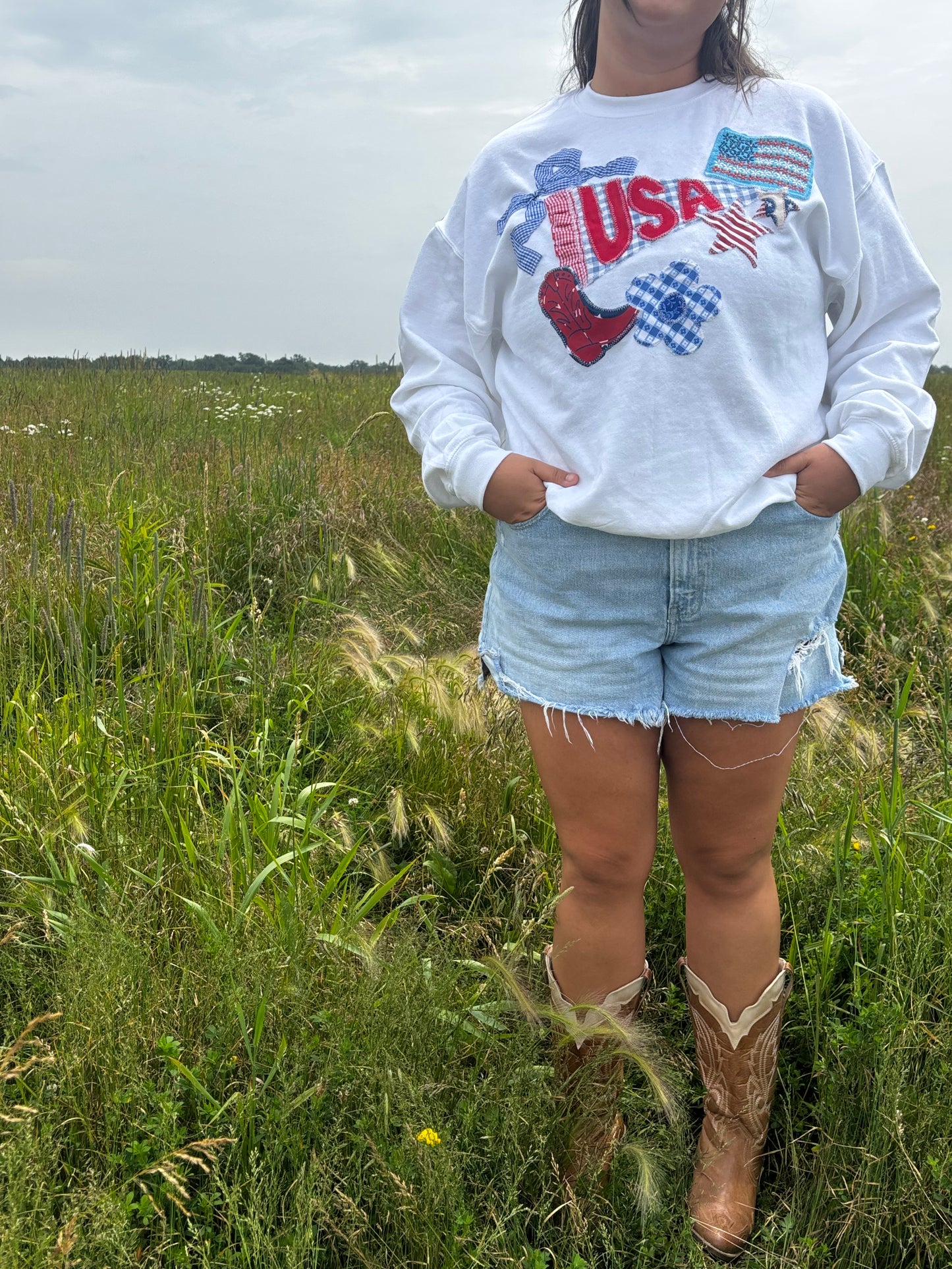 USA Pennant Crewneck