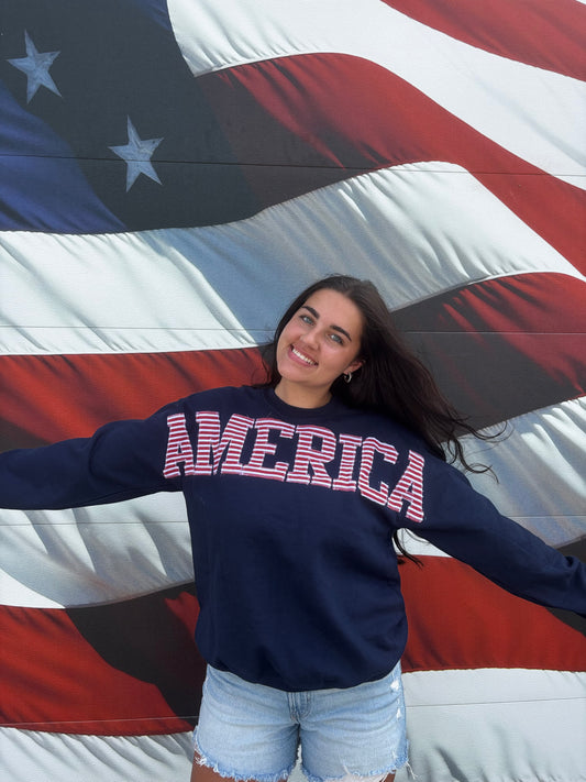 AMERICA Crewneck