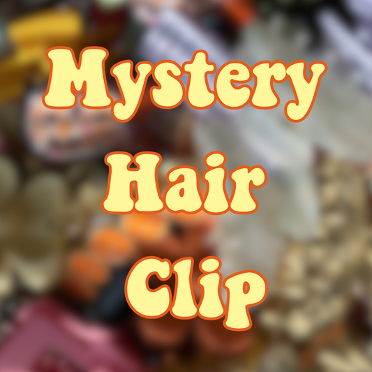 Mystery Hair Clip