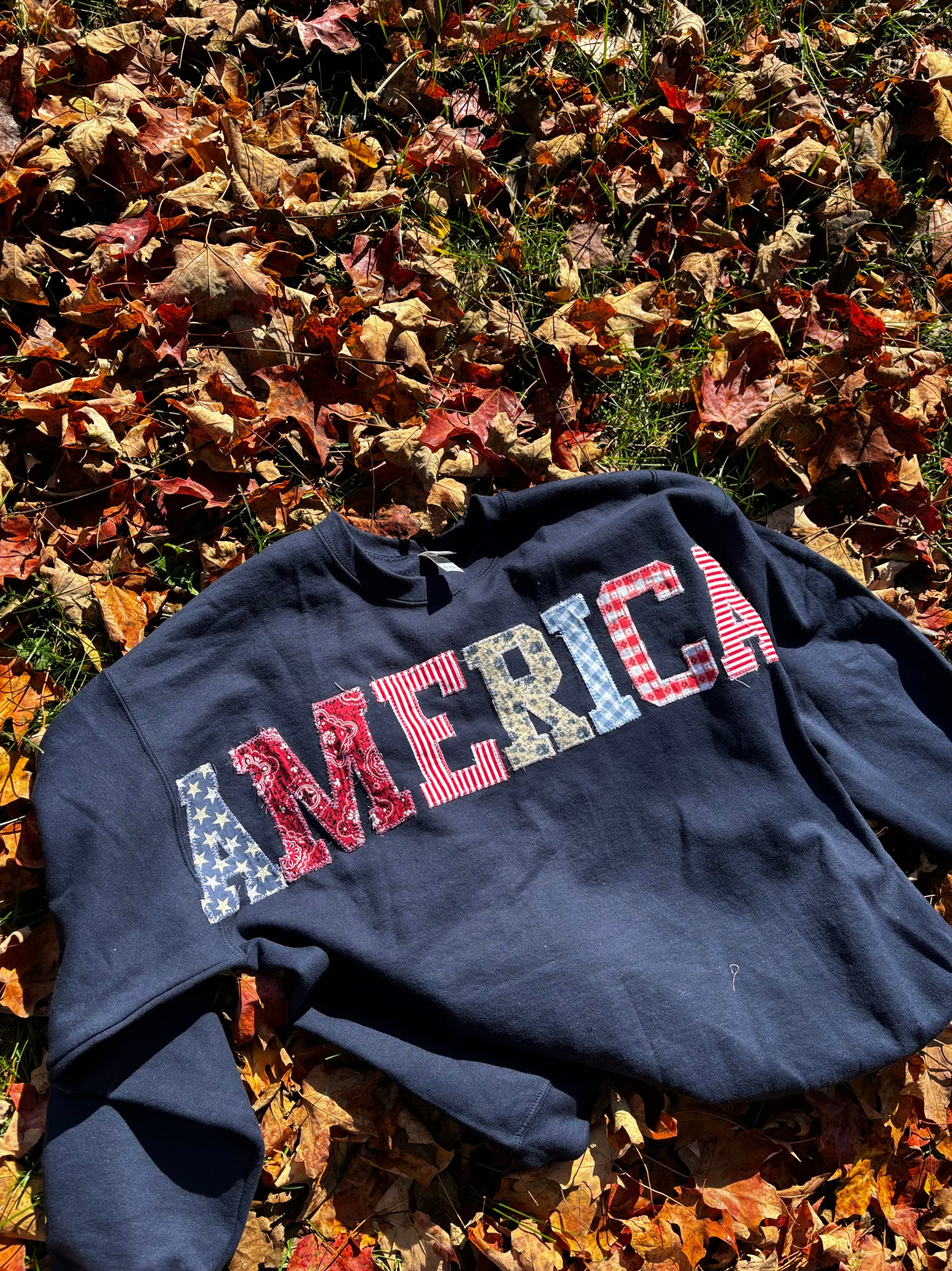 AMERICA Crewneck ♥︎