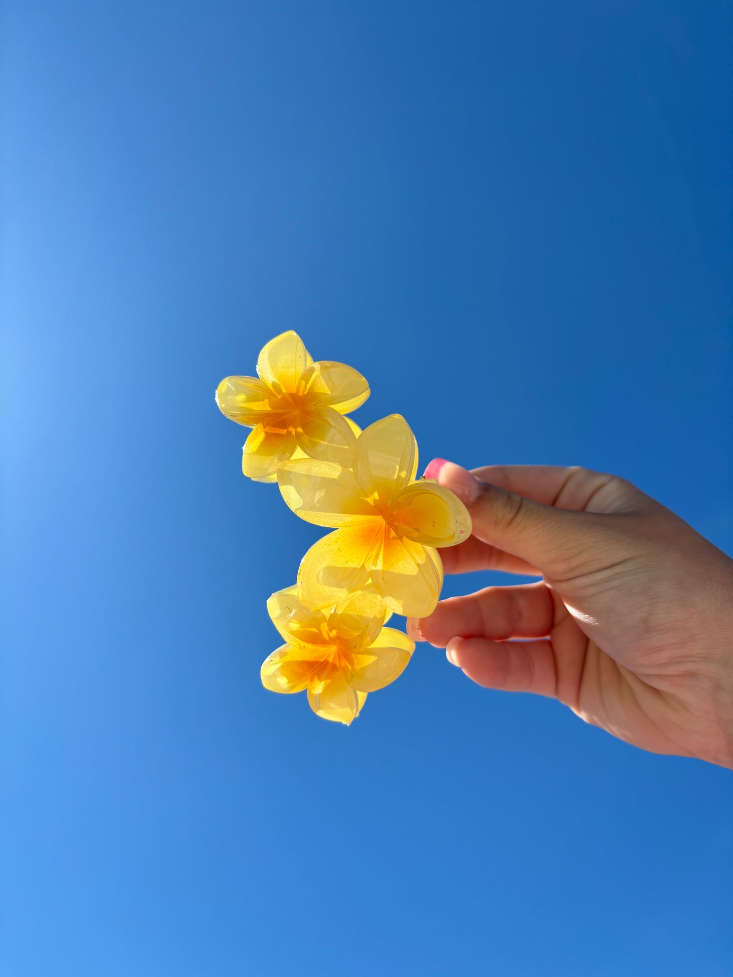 Beach Flowers Hair Claw