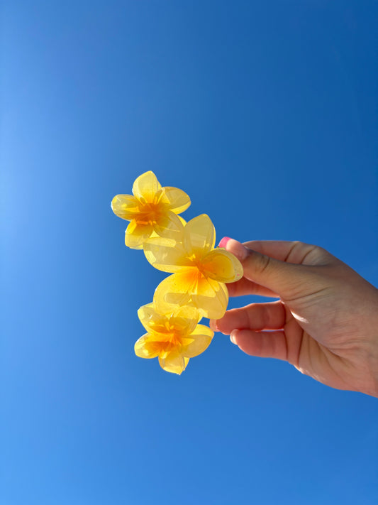 Beach Flowers Hair Claw