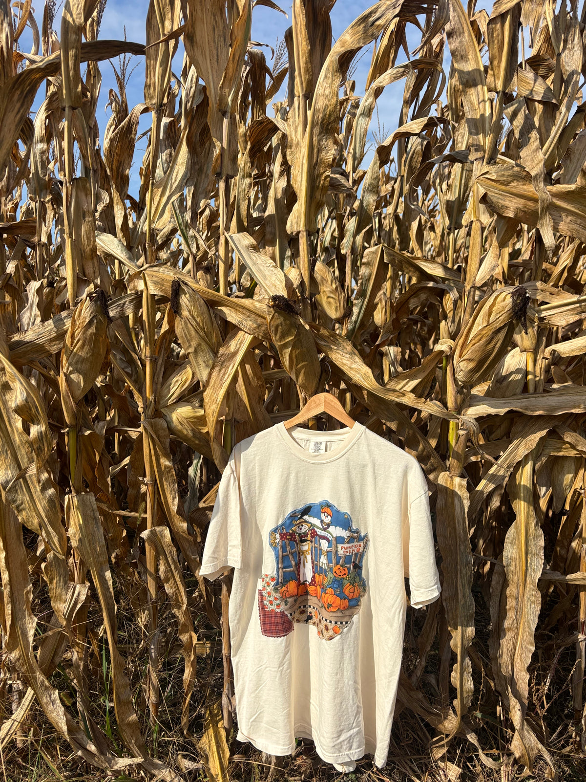 Pumpkin Patch Tee -XL
