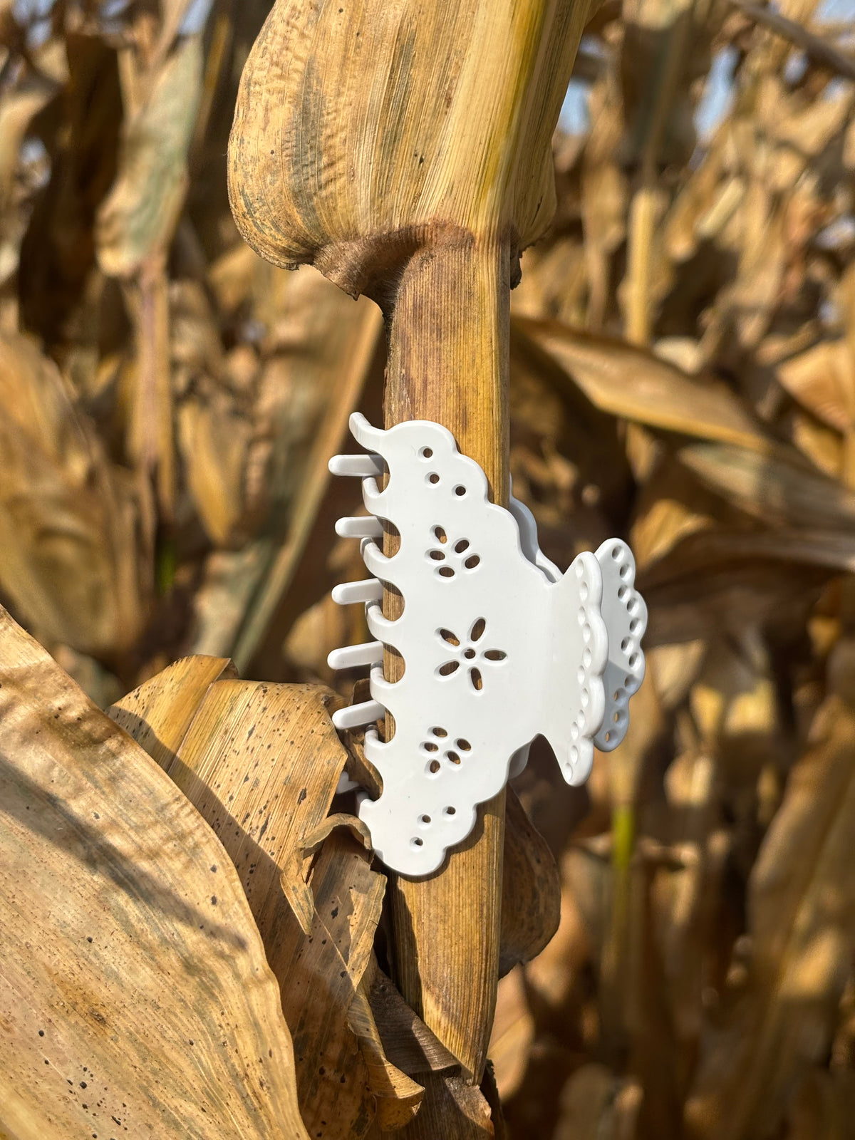 Doily Clip