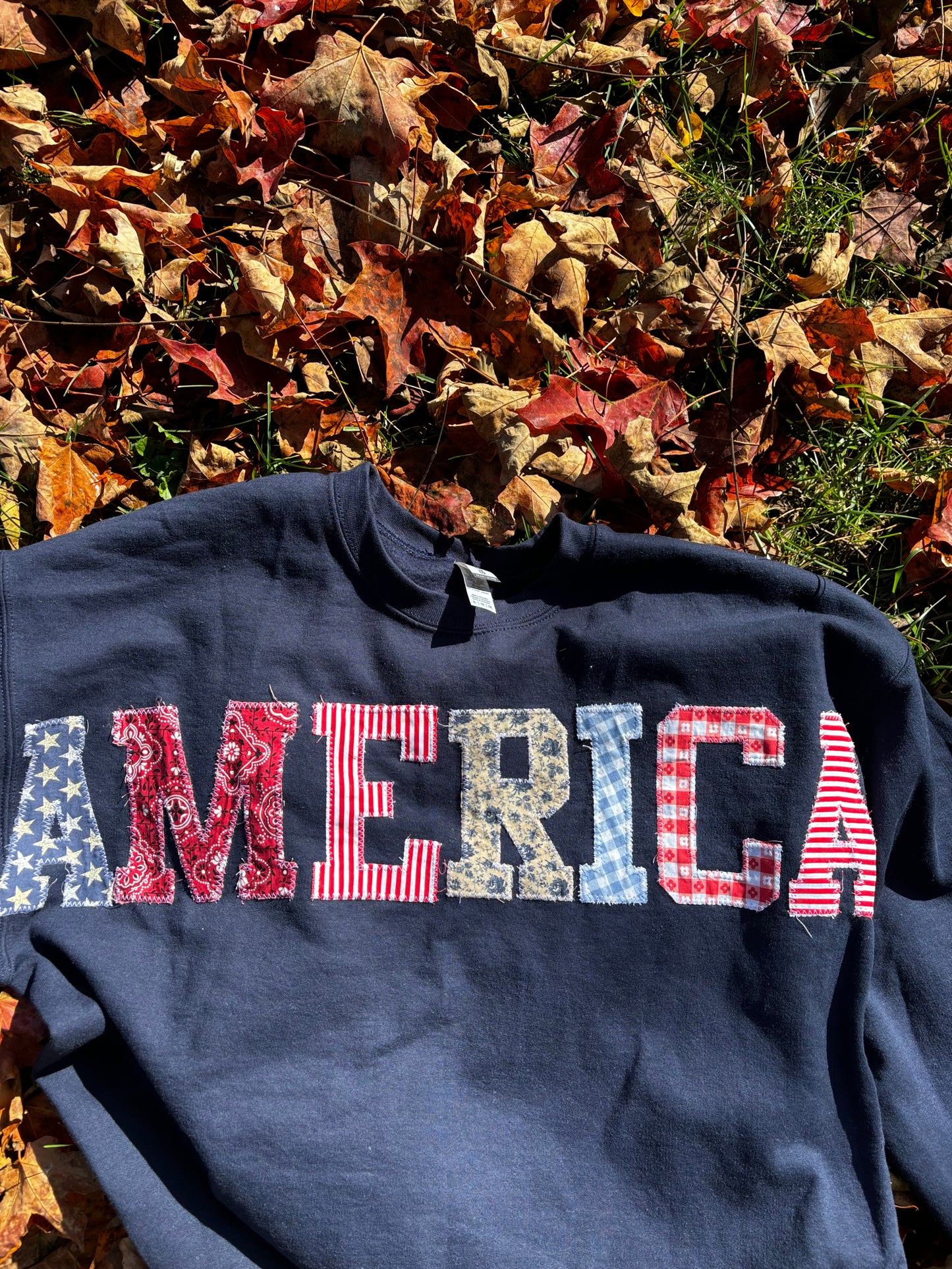 AMERICA Crewneck ♥︎