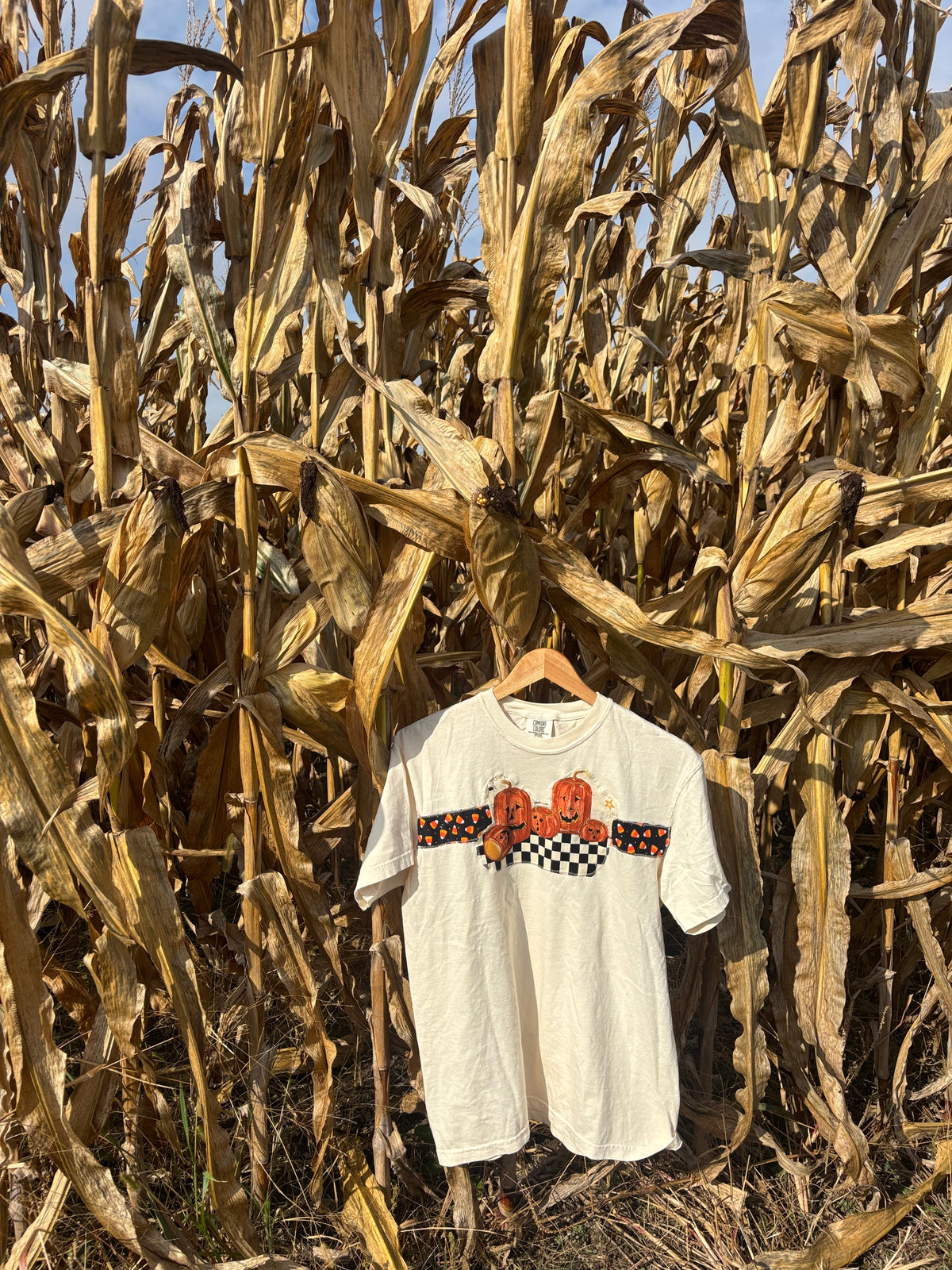 Vintage Pumpkin Tee- Medium
